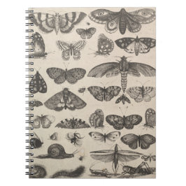 Caderno Espiral Notas do campo dos Lepidoptera da entomologia dos