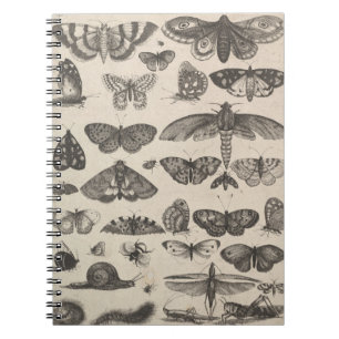 Caderno Espiral Notas do campo dos Lepidoptera da entomologia dos