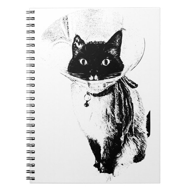 Caderno Espiral Notas do Cone (Frente)