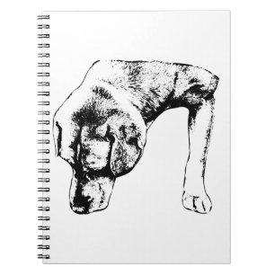Caderno Espiral Notas Para Caminhos Silenciosos