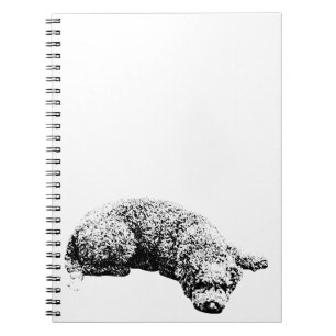 Caderno Espiral Notas pela janela