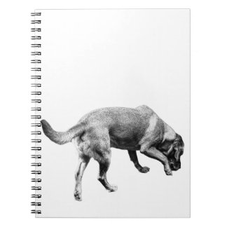 Caderno Espiral Notas sobre trilhos e trilhas