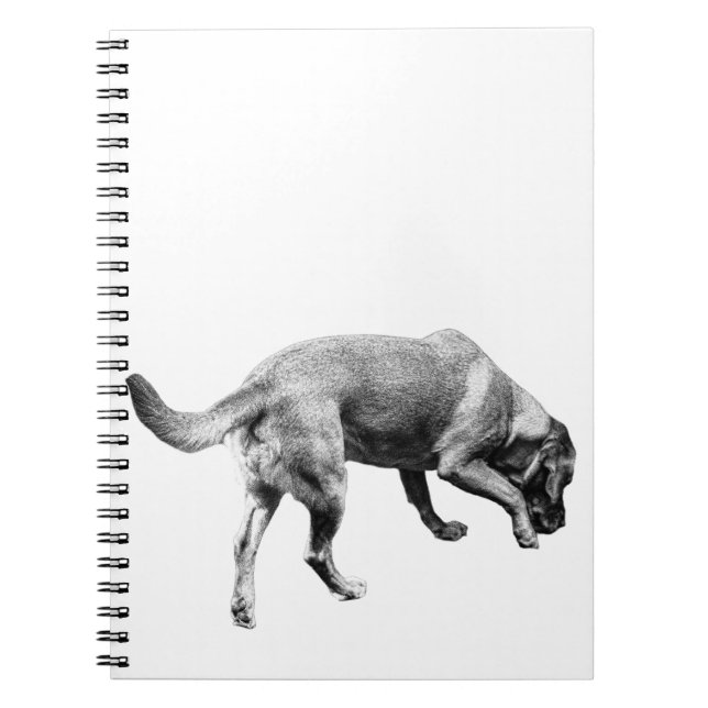 Caderno Espiral Notas sobre trilhos e trilhas (Frente)