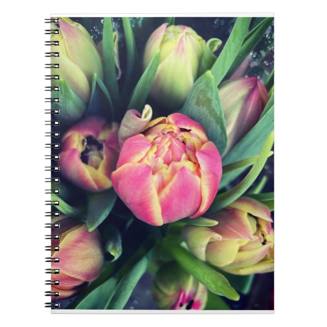 Caderno Espiral Notebook (Frente)
