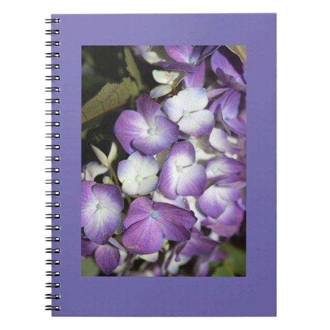 Caderno Espiral Notebook (Frente)