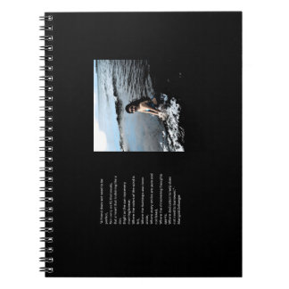 Caderno Espiral notebook