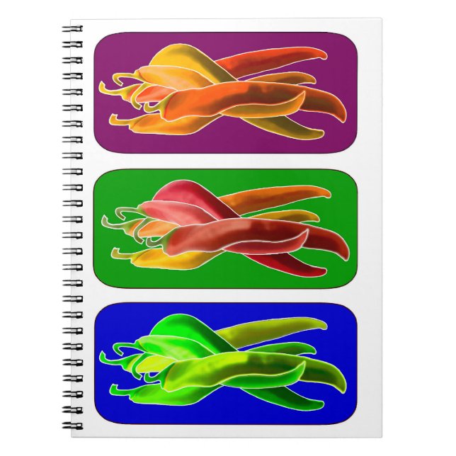 Caderno Espiral Notebook Abstrato Chiles (Frente)