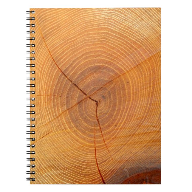 Caderno Espiral Notebook Acacia Tree Cross Section (Frente)