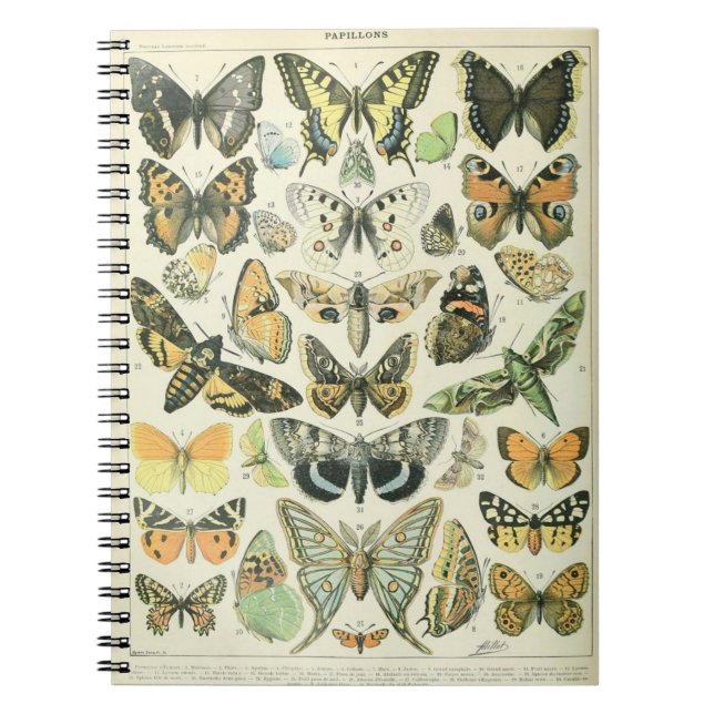 Caderno Espiral Notebook Adolphe Millot Butterflies (Frente)