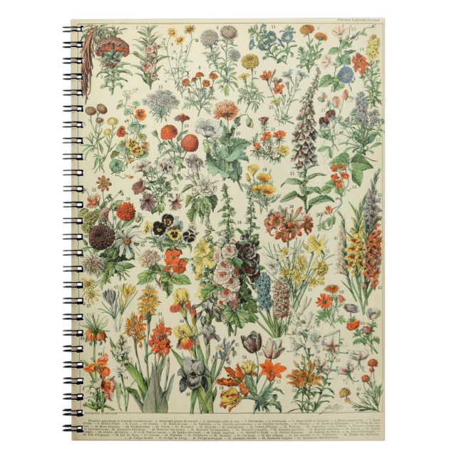 Caderno Espiral Notebook Adolphe Millot Flowers (Frente)