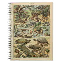 Notebook Adolphe Millot Reptile