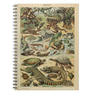 Caderno Espiral Notebook Adolphe Millot Reptile
