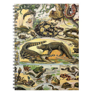 Caderno Espiral Notebook Adolphe Millot Reptiles 1