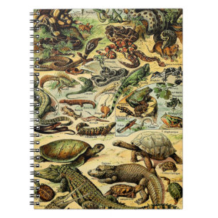 Caderno Espiral Notebook Adolphe Millot Reptiles 2