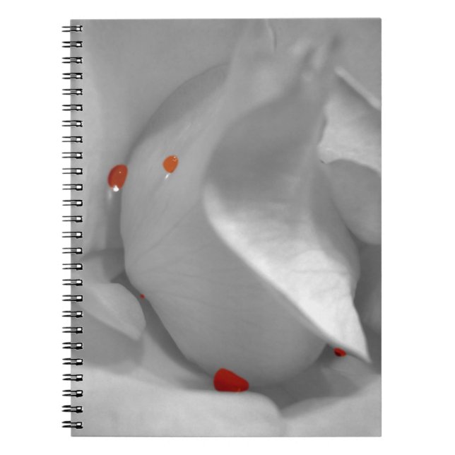 Caderno Espiral Notebook Aeolian Watercolor (Frente)