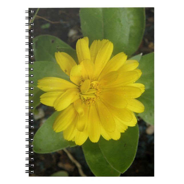 Caderno Espiral Notebook Amarelo Brilho (Frente)