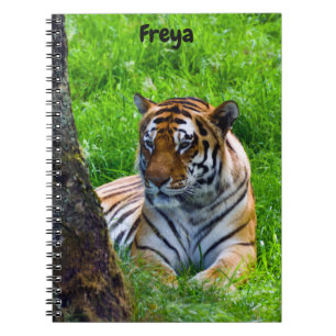 Caderno Espiral Notebook Amur Tiger Spiral