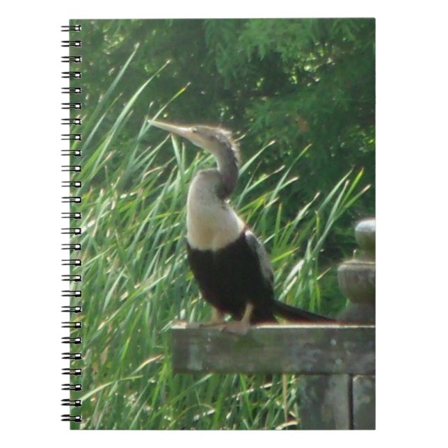 Caderno Espiral Notebook Anhinga Bird Spiral (Frente)