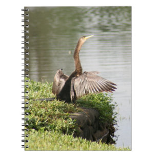 Caderno Espiral Notebook Anhinga Bird Spiral