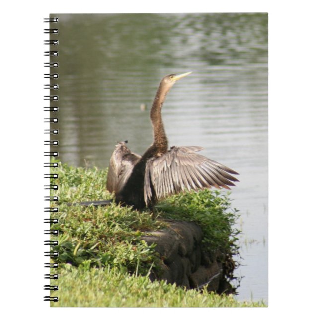 Caderno Espiral Notebook Anhinga Bird Spiral (Frente)