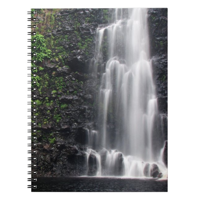 Caderno Espiral Notebook "Anna's Pond" (Frente)