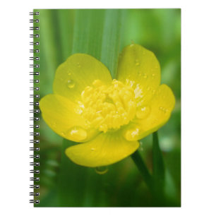 Caderno Espiral Notebook Appalachian ButterCup