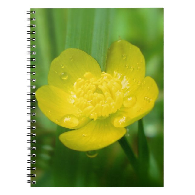 Caderno Espiral Notebook Appalachian ButterCup (Frente)