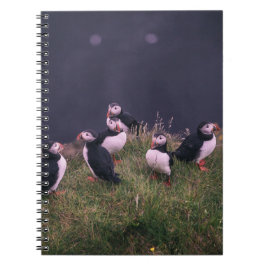 Caderno Espiral Notebook Atlantic Puffins