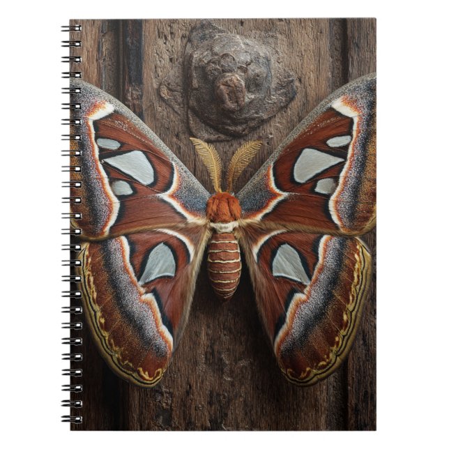 Caderno Espiral Notebook Atlas Moth Rustic (Frente)