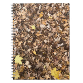 Caderno Espiral Notebook Autumn Brown Deixa