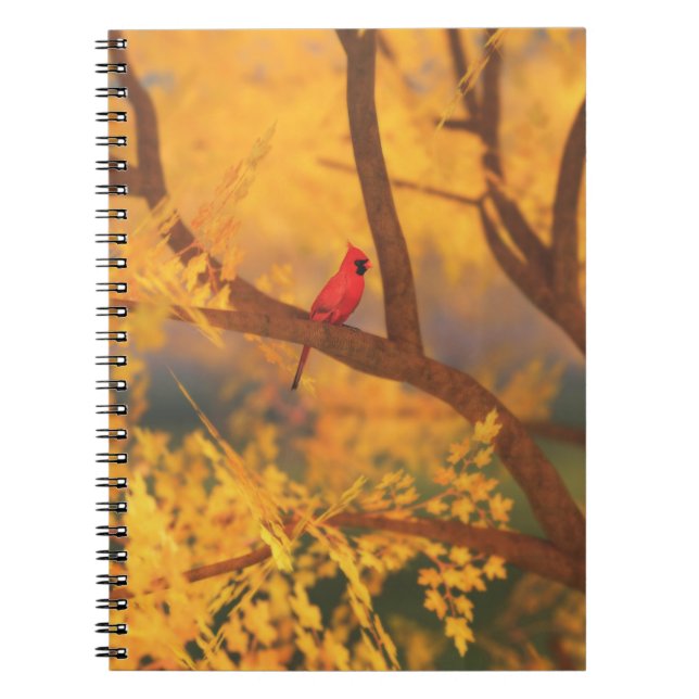 Caderno Espiral Notebook Autumn Guardian (Frente)