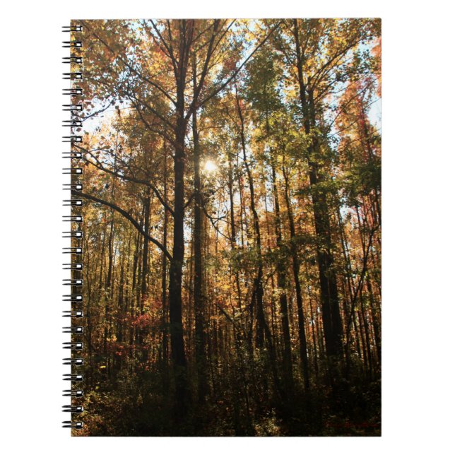 Caderno Espiral Notebook Autumn Trees #3855 (Frente)