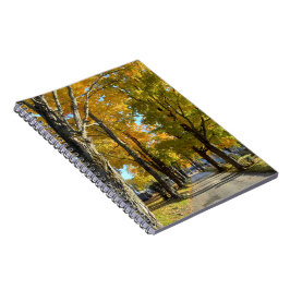 Caderno Espiral Notebook Autumn Yellow Path Spiral