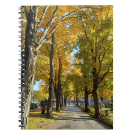 Caderno Espiral Notebook Autumn Yellow Path Spiral