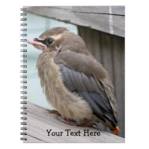 Caderno Espiral Notebook Baby Cedar Waxwing Bird Nature