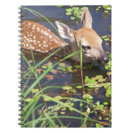 Caderno Espiral Notebook Baby Deer
