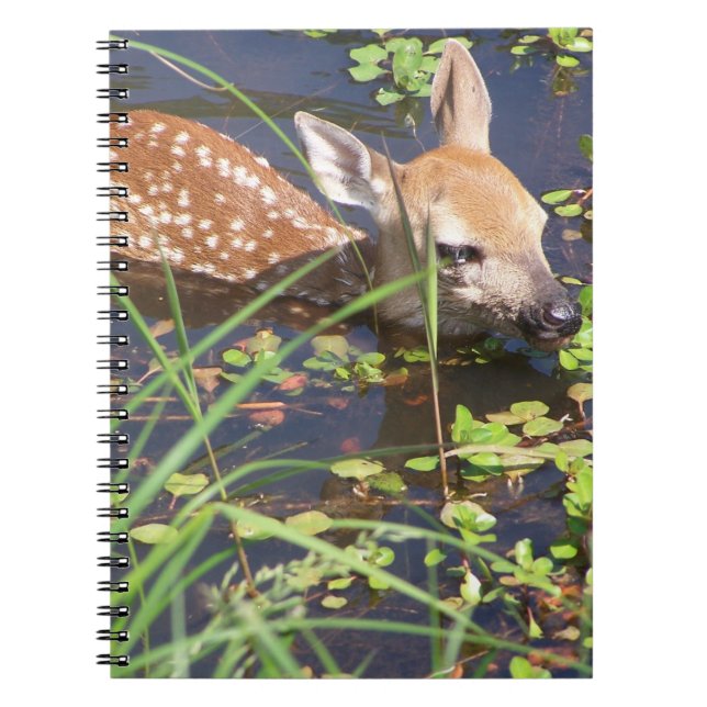 Caderno Espiral Notebook Baby Deer (Frente)