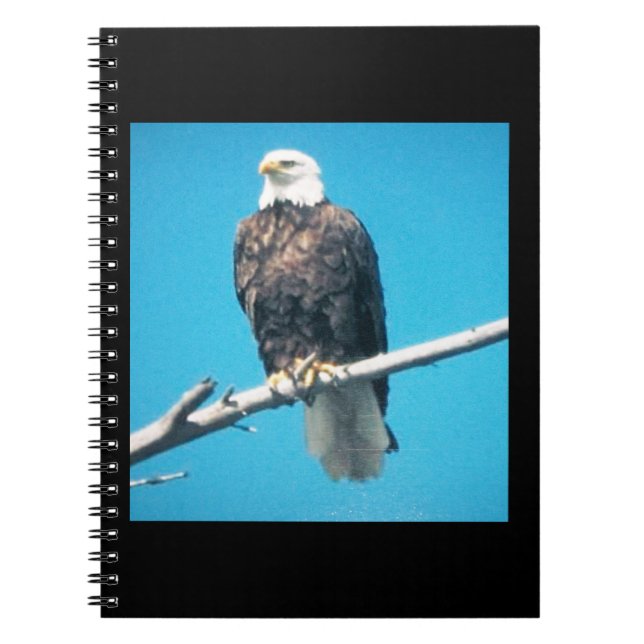 Caderno Espiral Notebook Bald Eagle (Frente)