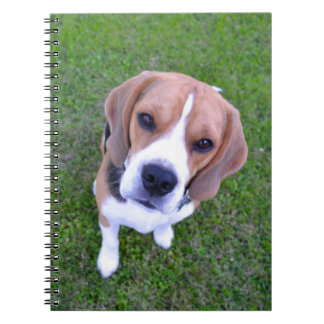 Caderno Espiral Notebook Beagle