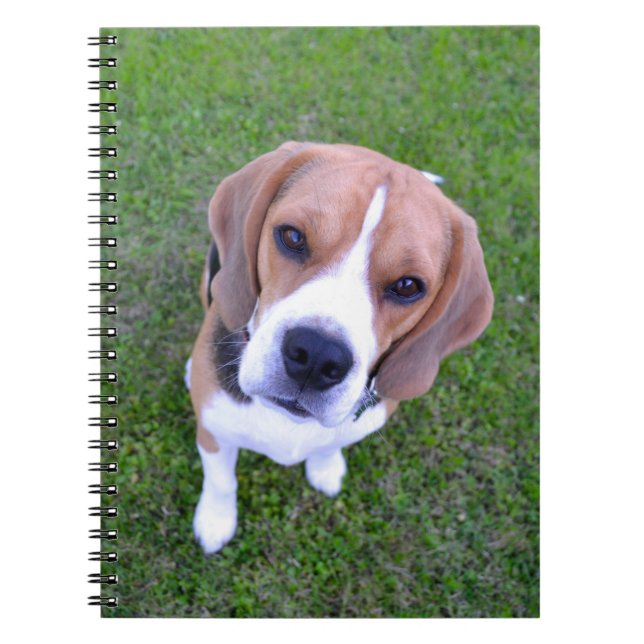 Caderno Espiral Notebook Beagle (Frente)
