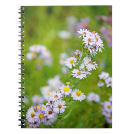 Caderno Espiral Notebook Beauty Line
