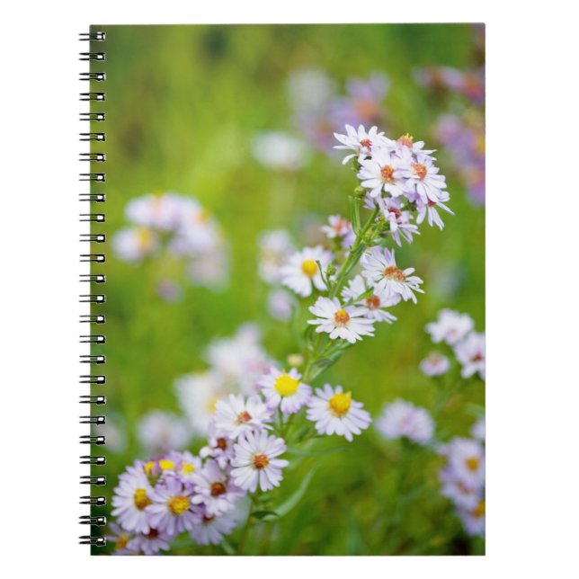 Caderno Espiral Notebook Beauty Line (Frente)