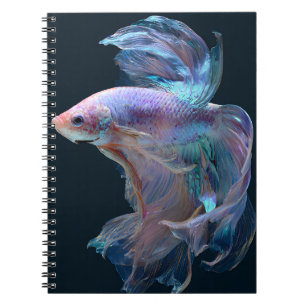 Caderno Espiral Notebook Betta Fish Iridescente