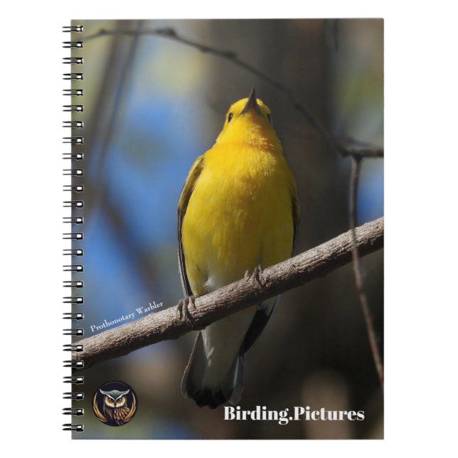Caderno Espiral Notebook Birding.Pictures (Frente)
