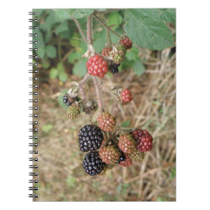 Caderno Espiral Notebook Blackberry Bonanza