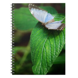 Caderno Espiral Notebook Blue Morpho 112
