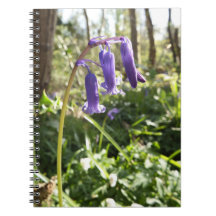 Notebook Bluebells