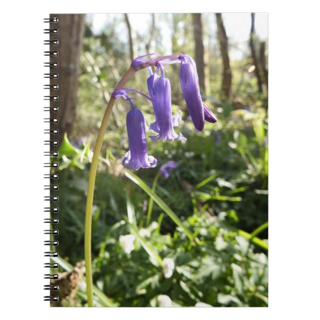 Caderno Espiral Notebook Bluebells (Frente)