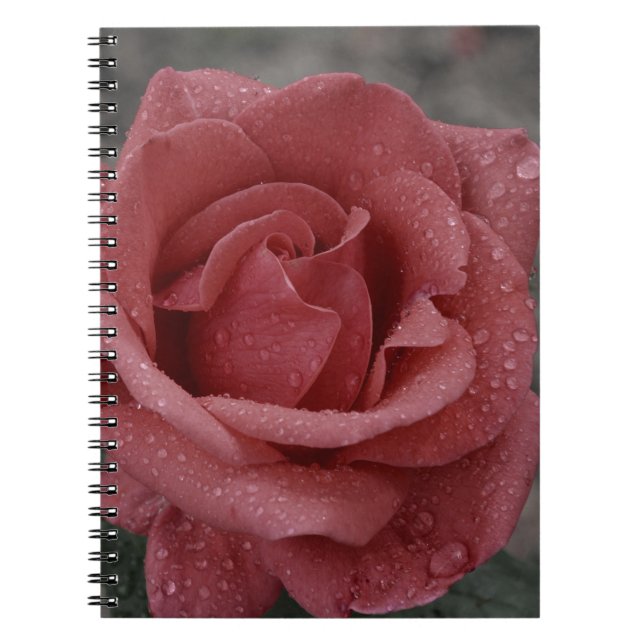 Caderno Espiral Notebook bonito Rosa - Ideal para Escrevendo (Frente)