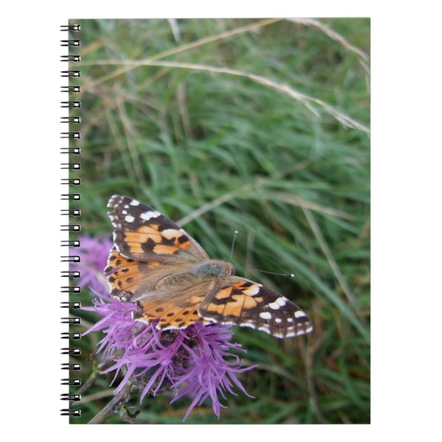 Caderno Espiral Notebook Borboleta Laranja (Frente)